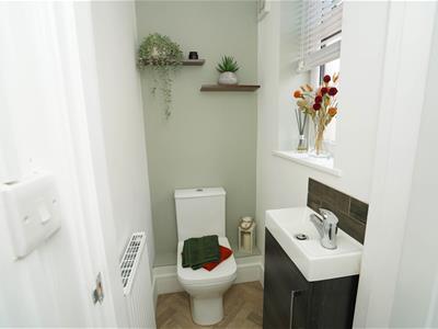 Picture 21